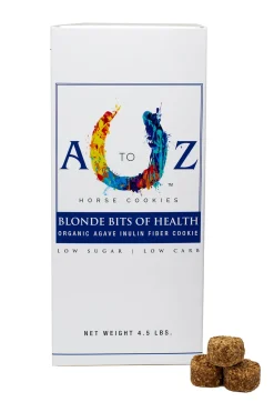 A to Z Horse Cookies Blonde Bits of Health