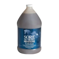 Arenus® Sore No-More® Performance Gelotion