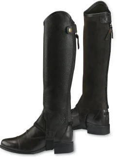 Ariat® Concord Half Chaps
