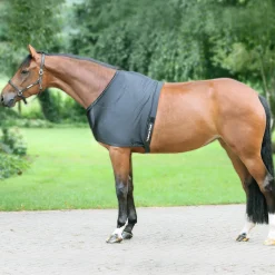 Back on Track® Therapeutic Equine Shoulder Guard with Pads