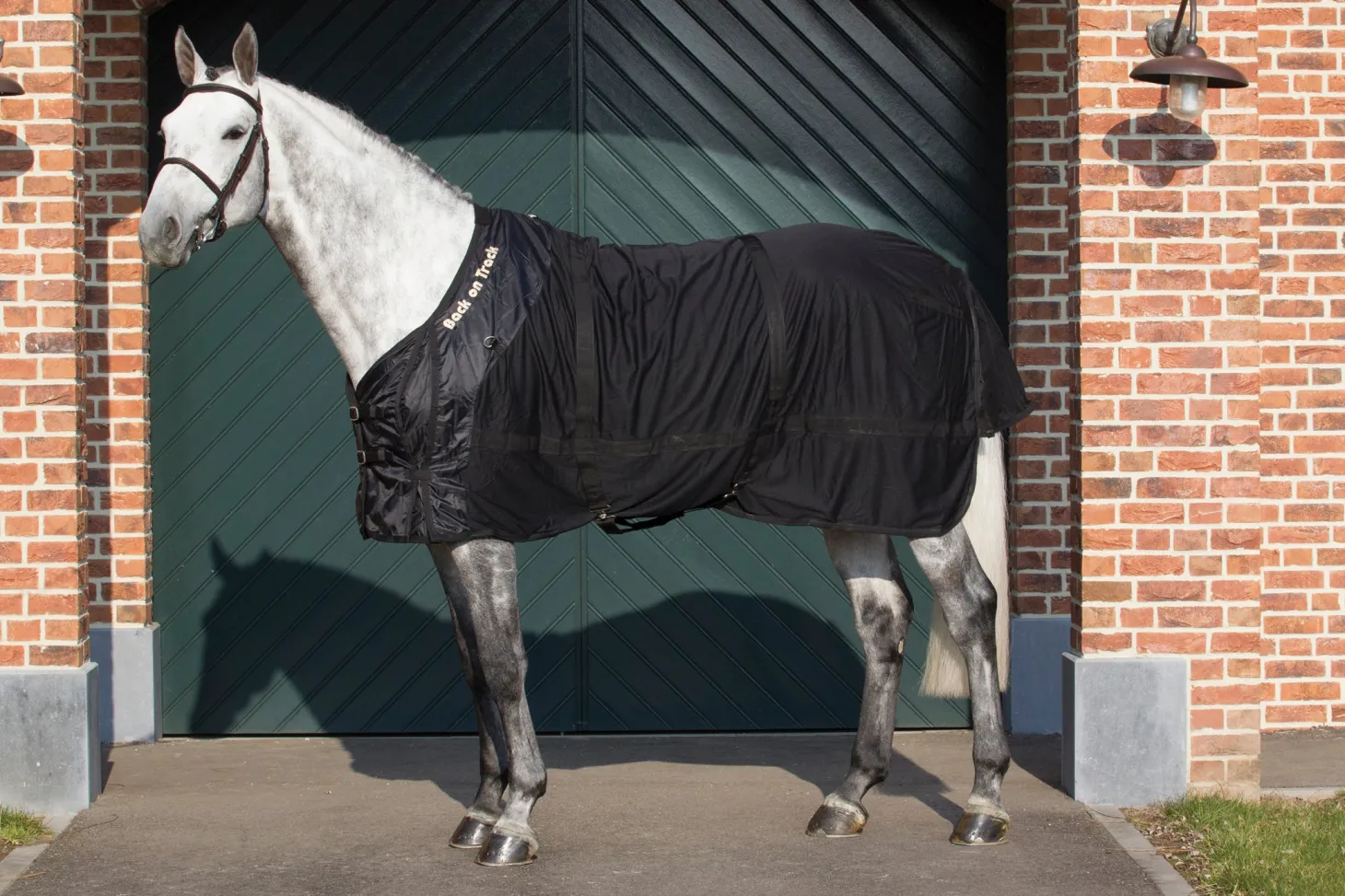Back on Track® Therapeutic Mesh Horse Sheet