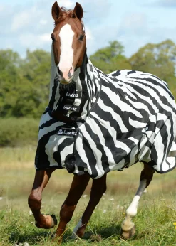 Bucas Buzz-Off Zebra Fly Sheet with High Neck