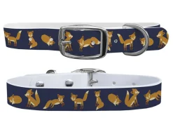 C4 Equine Print Dog Collar