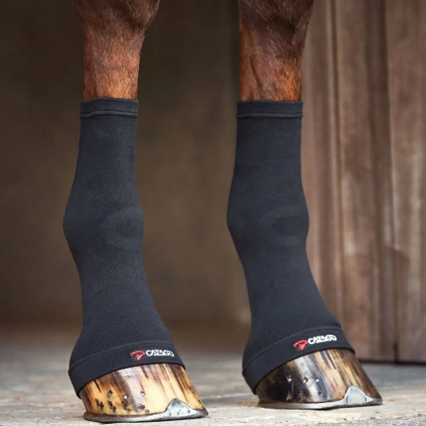 Catago® FIR-Tech Fetlock Socks