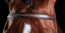 Collegiate® ComFiTec™ Fancy-Stitched Bridle