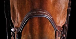 Collegiate® ComFiTec™ Fancy-Stitched Bridle