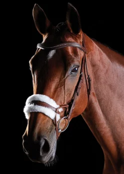 Collegiate® ComFiTec™ Sheepskin Bridle