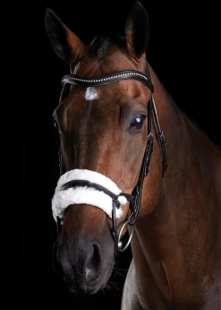 Collegiate® ComFiTec™ Sheepskin Bridle