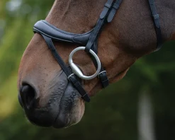 Collegiate® ComFiTec™ Vogue Anatomic Bridle