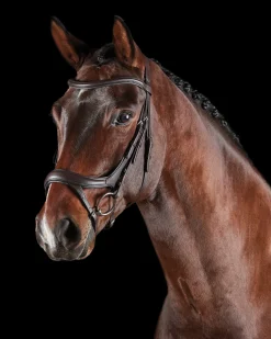 Collegiate® ComFiTec™ Vogue Anatomic Bridle