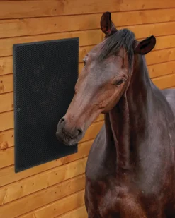 DS Equine Scratching Mat