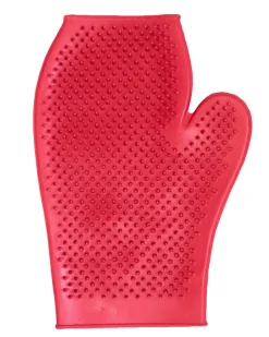 DS Rubber Grooming Glove