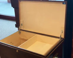 DS Standard Show Trunk