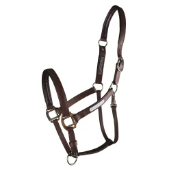 Equilibrium Stellar All-Weather Breakaway Halter