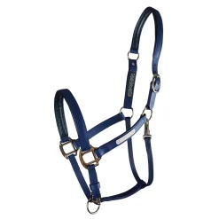 Equilibrium Stellar All-Weather Breakaway Halter