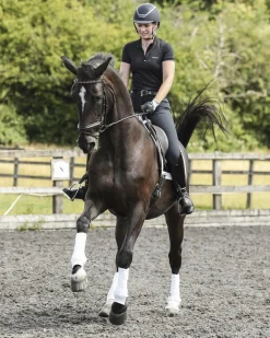 Equilibrium Stretch & Flex Training Wraps