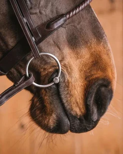 Fager Emil Titanium Loose Ring Bit, 16mm Mouth