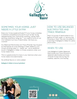 Gallagher’s Water™ Balanced Electrolytes & Trace Minerals