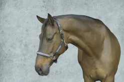 HDR Padded Jewel Halter