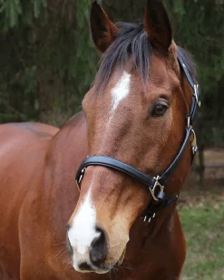 Henri de Rivel Everyday Halter