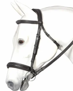 Henri de Rivel Mono Crown Bridle with Padded Wide Noseband