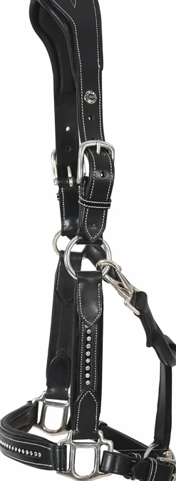 Henri de Rivel Padded Leather Crystal Halter