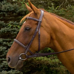 Henri de Rivel Pro Mono Crown Fancy-Stitched Padded Bridle with Laced Reins