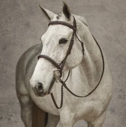 Henri de Rivel Pro Mono Crown Fancy-Stitched Padded Bridle with Laced Reins