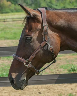 Henri de Rivel Stress Free Halter with Fancy Contrast Stitching