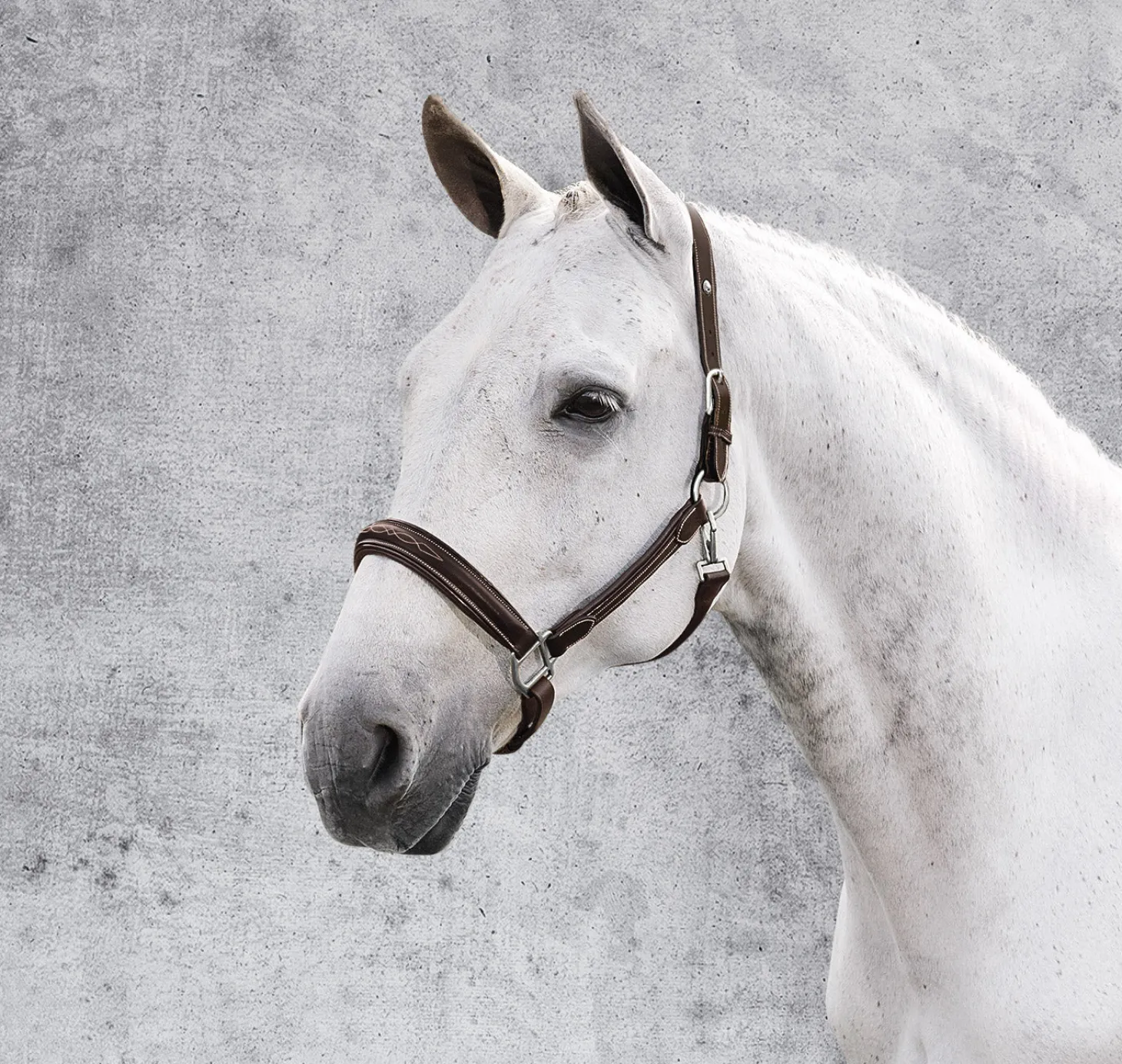 Henri de Rivel Stress Free Halter with Fancy Contrast Stitching