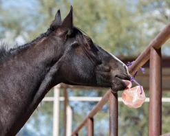 Horsemen’s Pride™ Jolly Salt Snack, 4.4 Pounds