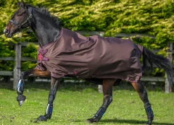 Horseware® Amigo® Hero 900 Lite Net Lined Turnout with Disc Front