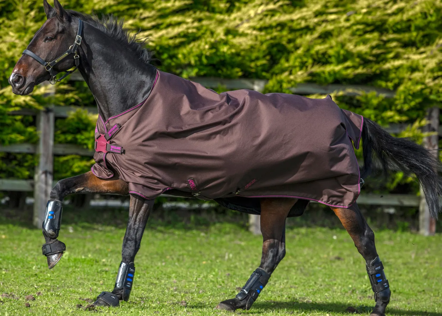 Horseware® Amigo® Hero 900 Lite Net Lined Turnout with Disc Front
