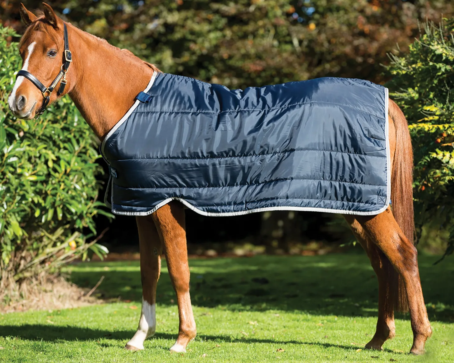 Horseware® Ireland 100 Gram Pony Blanket Liner