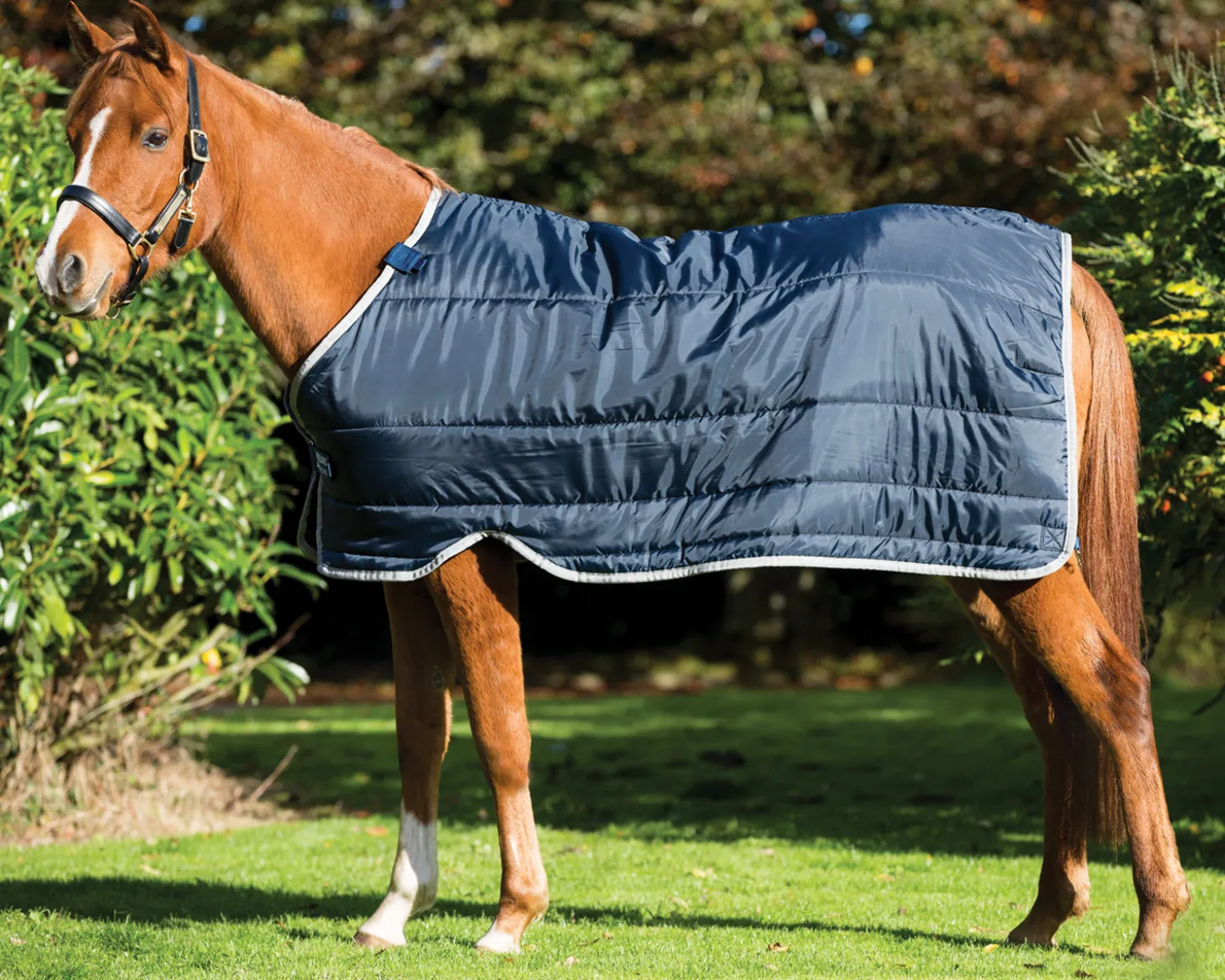 Horseware® Ireland 100 Gram Pony Blanket Liner