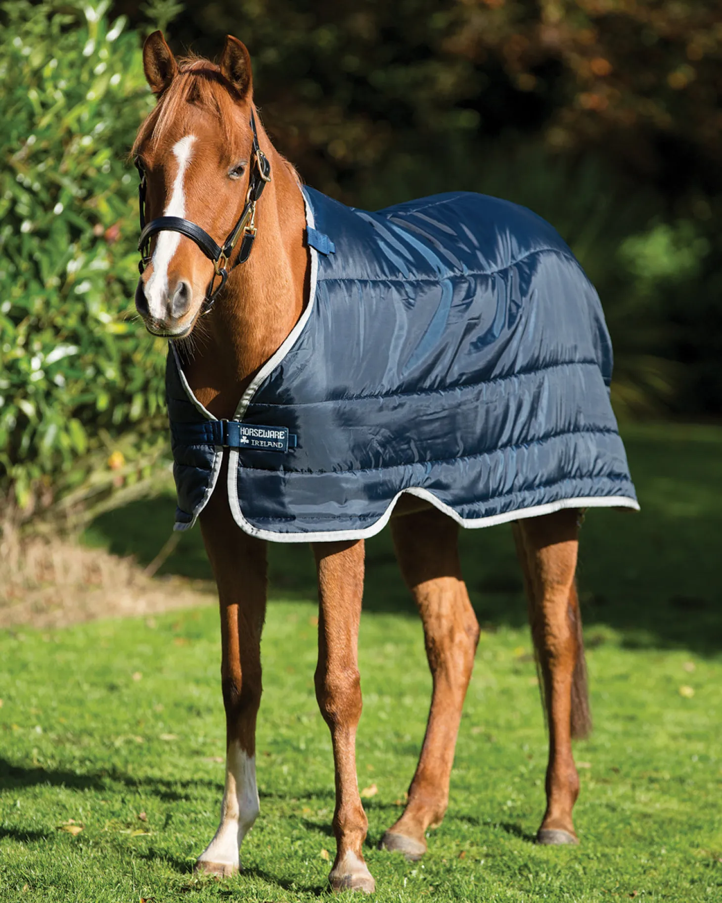 Horseware® Ireland 200 Gram Pony Blanket Liner