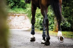 Horseware® Ireland Adagio Boots