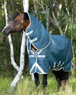 Horseware® Ireland Amigo® AmEco 12 Plus Lightweight Turnout Blanket