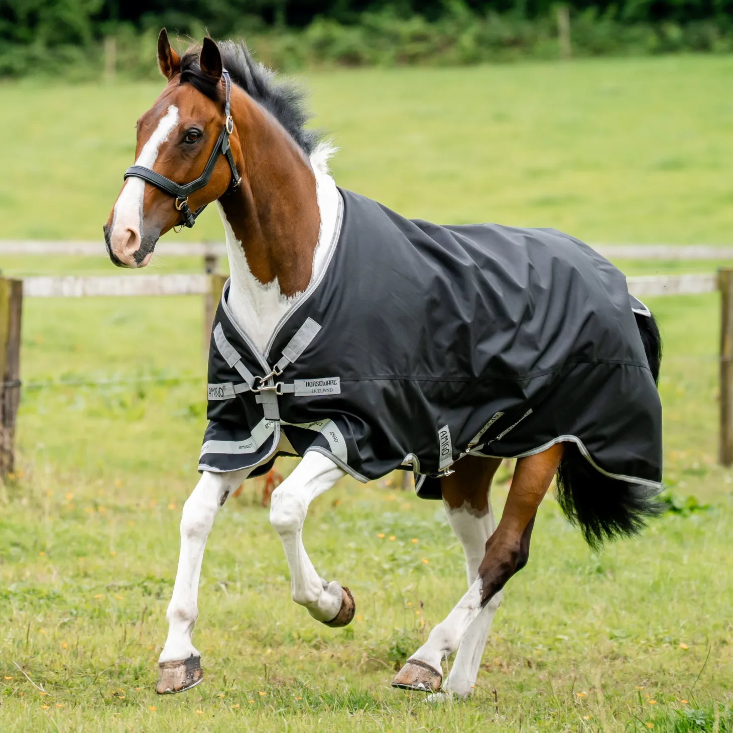Horseware® Ireland Amigo® 1200D Turnout Sheet Standard Neck