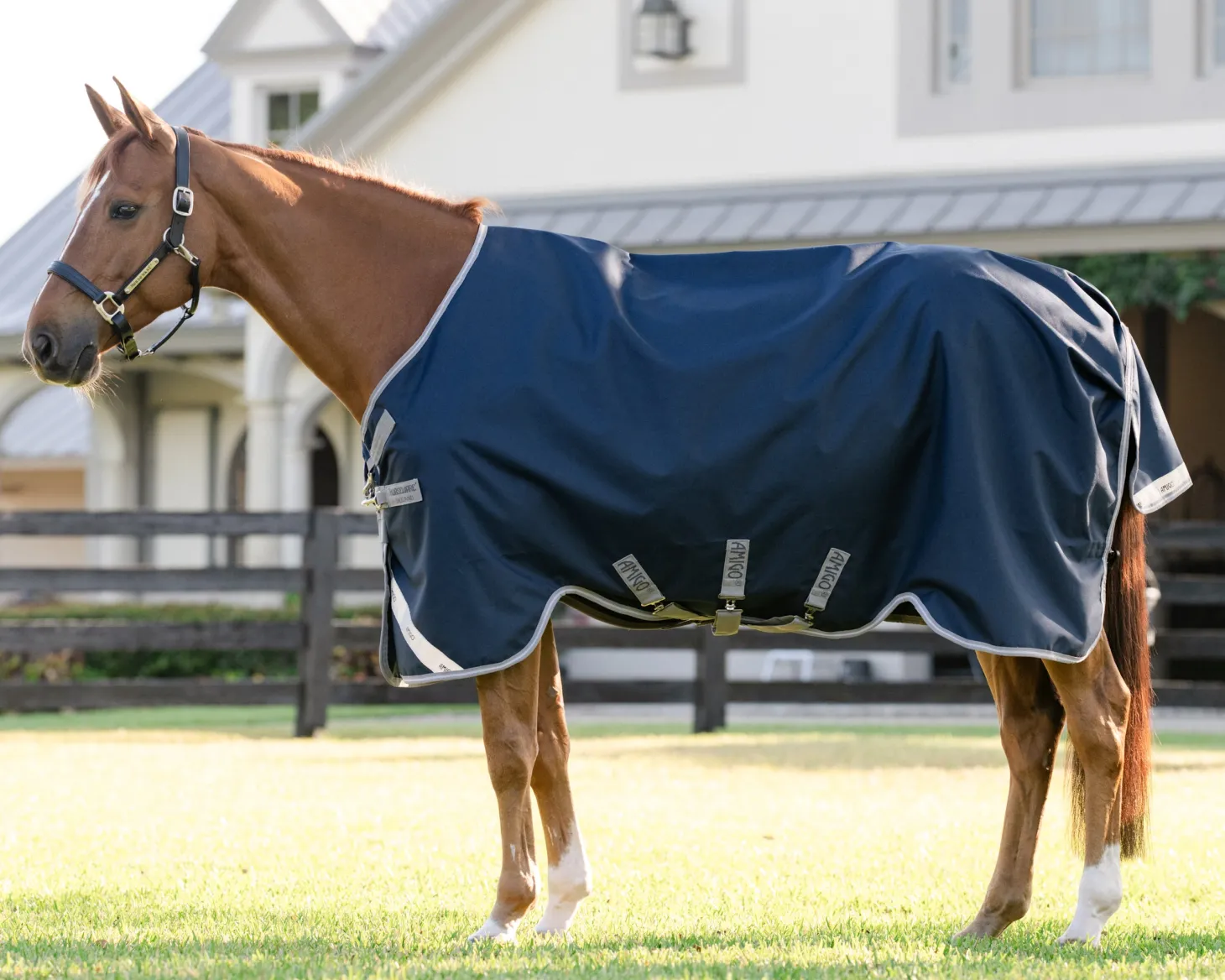 Horseware® Ireland Amigo® 1200D Turnout Sheet Standard Neck