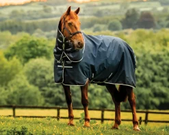 Horseware® Ireland Amigo® Ripstop 900D 200 Grams Plus Pony Turnout