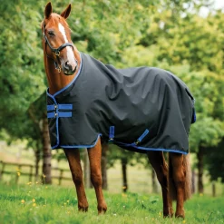 Horseware® Ireland Amigo® Ripstop 900D 100 Gram Standard Neck Turnout