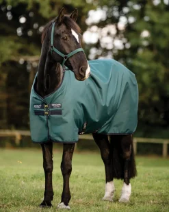 Horseware® Ireland Amigo® Ripstop 900D 200 Gram Standard Neck Turnout–Seasonal Color