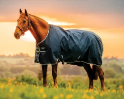 Horseware® Ireland Amigo® Ripstop 900D 100 Gram Standard Neck Turnout