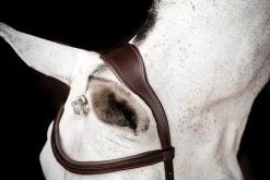 Horseware® Ireland Micklem2 Competition Bridle with Reins