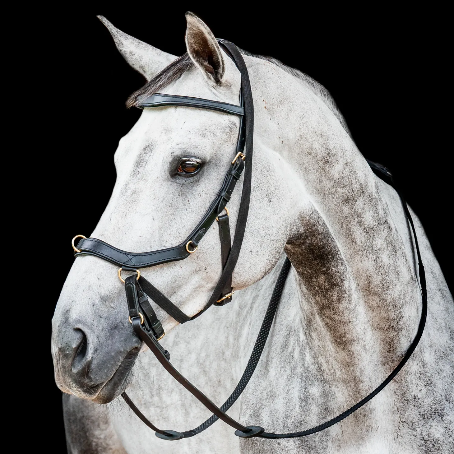 Horseware® Ireland Micklem2 Multibridle USA with Reins
