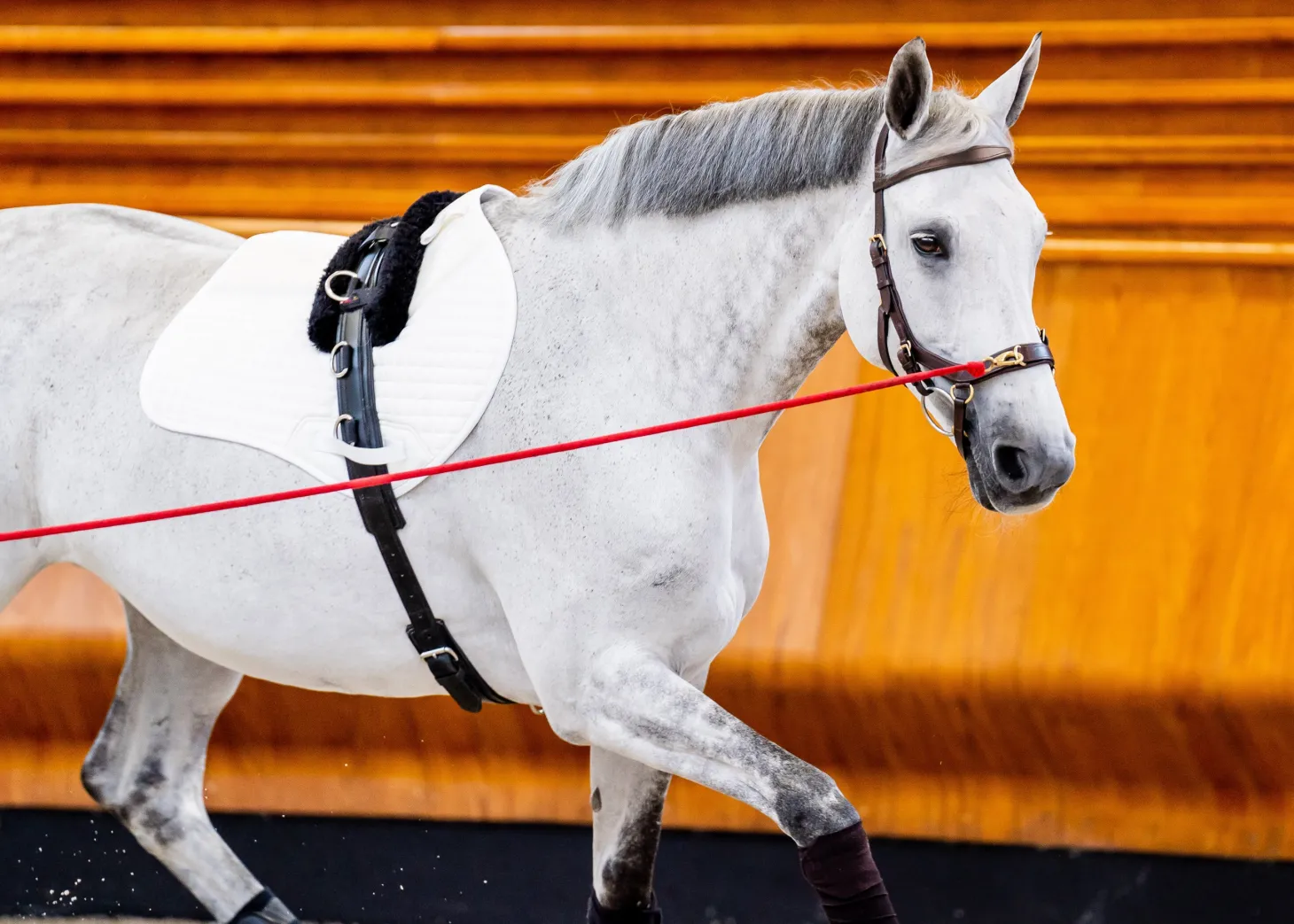 Horseware® Ireland Micklem2 Multibridle USA with Reins