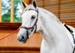 Horseware® Ireland Micklem2 Multibridle USA with Reins