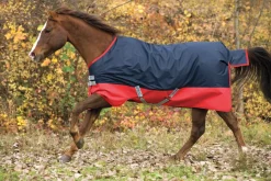 Horseware® Ireland Mio® Lite Turnout Sheet
