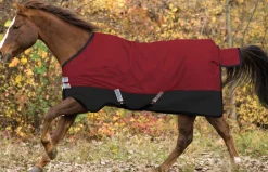 Horseware® Ireland Mio® Lite Turnout Sheet